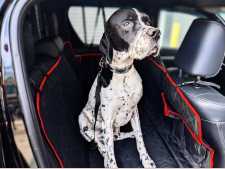 Pet Hammock - for Rear seat